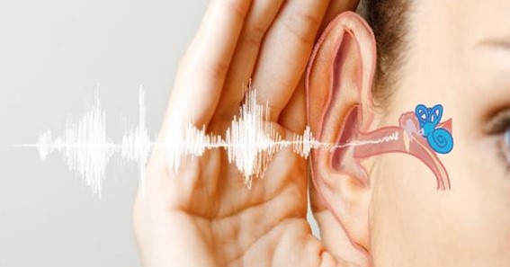 Do You Hear Me? A Comprehensive Guide to Ear Care