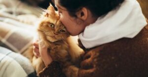Feline Good 3 Things You Need to Know About Cats for Emotional Support
