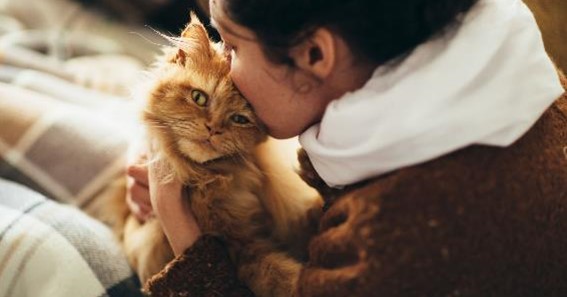 Feline Good: 3 Things You Need to Know About Cats for Emotional Support