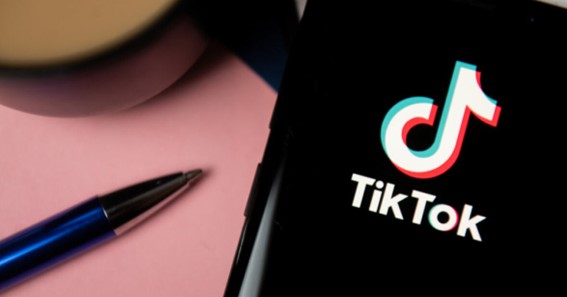 How To Organize And Manage TikTok Favorites?