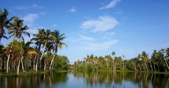 De-Stress With The Best Kerala Travel Packages Online